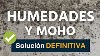 ✅ Cómo eliminar HUMEDADES y quitar moho de paredes y techos Muy FÁCIL 💪 Solución EFICAZ tutorial [upl. by Marcellus]