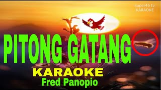 PITONG GATANG By Fred Panopio KARAOKE Version 5D Surround Sounds [upl. by Nomelc]