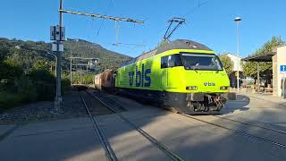 Usfahrt vo de Re 465 011 mit Brunbär und Valentina in Oensingen OeBB [upl. by Akeit279]