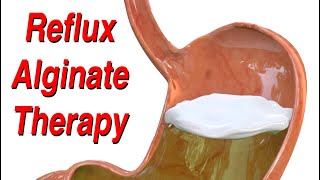 Reflux Alginate Therapy  All Natural Way to Manage Acid or NonAcidic GERD andor LPR LongTerm [upl. by Toole28]