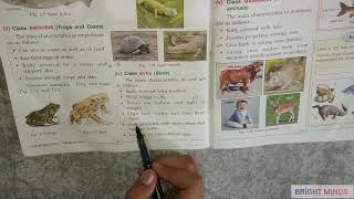 CLASSIFICATION OF ANIMALS  ICSE  CLASS 7  PART 2  BY SHRESTH MISHRA [upl. by Nylrak681]