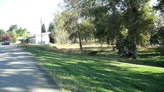 NO LAWSbuild in the Bitterroot River floodplain Hamilton MT [upl. by Bowler]