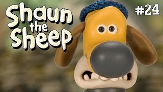 Bitzers Basic Training  Shaun the Sheep Season 2  Full Episode [upl. by Alpheus]