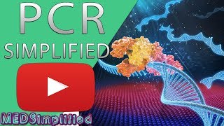 PCR  Polymerase Chain Reaction Simplified [upl. by Lewin]