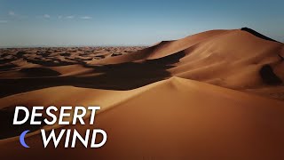 Desert Wind Sound  10 Hours  Stress Relief  Meditate  Sleep  Study  Desert Winds [upl. by Backler]