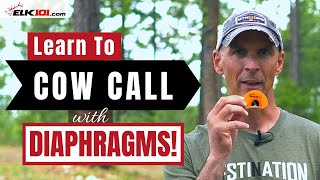 How to Cow Call with Diaphragm Elk Calls [upl. by Luing]