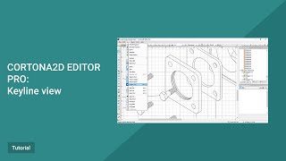 Cortona2D Editor Pro Tutorial Keyline view [upl. by Direj]