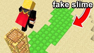 Fooling my Friend with FAKE SLIME in Minecraft [upl. by Arza333]