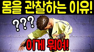 배그 출시 3년만에 처음으로 밝혀진 quot이 행동의 비밀quot [upl. by Lartnom]