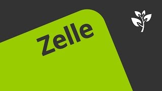 Zellen und Zellformen  Biologie  Cytologie [upl. by Llekcir]