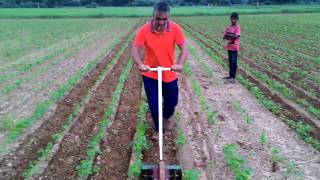 Easy make Inter cultivator for vegetable and weed control [upl. by Fuhrman]