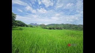 Finca ganadera Cañas Guanacaste CR [upl. by Ilyak694]