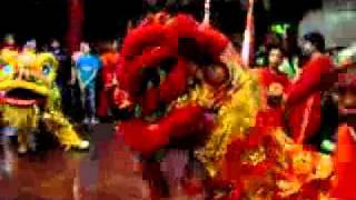 barongsai cibubur jakartanabila putri [upl. by Anivek]