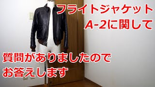 アメカジスタイル 第166回【Flight Jacket A 2】A 2購入に悩んでいる方にお答えします [upl. by Joelly662]