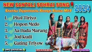 NEW SANTALI SOHRAI SONG🌹 Santali Sohrai Serenj 202425 🎵  Traditional Songs Mp3  Dpc Official [upl. by Aerdnat]