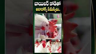 బ్రయిలర్ కోడితో అనారోగ్య సమస్యలు  Latest Updates  Health problems with chicken  SumanTV Prakasam [upl. by Bamberger130]