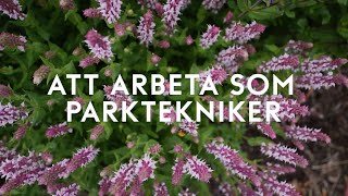 Att arbeta som parktekniker [upl. by Milinda]