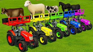 TRANSPORTING COWS SHEEPS HORSES BULLS GOATS amp TRACTORS WITH MAN TRUCKS  Farming Simulator 22 [upl. by Akemehs]