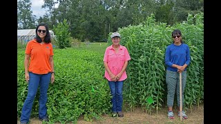 WarmSeason Annual Forage Legume Demo Tour [upl. by Anyotal]