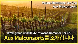 Engsub Vosne Romanee 1er Cru AuxMalconsorts [upl. by Berstine]