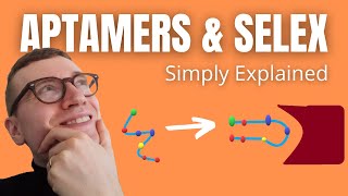 Aptamers and SELEX Simply Explained [upl. by Jaan]