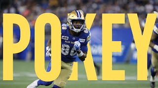 Winnipeg Blue Bomber Ontaria Wilson catches vs Calgary Stampeders in Week 6 [upl. by Aili]