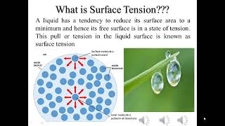 Surface tension surfacetension examples physics [upl. by Soluk]