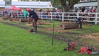 Teams race Stroud show 2024 [upl. by Balsam]