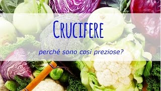 Crucifere perché sono così preziose [upl. by Anivram639]