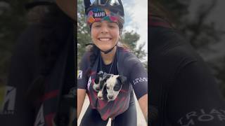 Rescatamos 6 perritos cuando hacíamos Gravel en la montaña los metimos en nuestro jersey 🥰🐶🚲 [upl. by Damek]