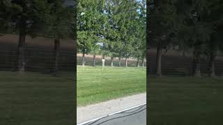 Windbreak Trees around the agricultural farm [upl. by Pacheco]