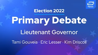 Massachusetts Primary Debate Lieutenant Governor Race [upl. by Blinnie]