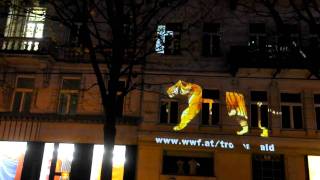 Running Tiger läuft auf der Wiener Ringstraße bewegt © Matthias Schickhofer [upl. by Kask530]