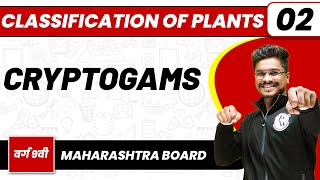 CLASSIFICATION OF PLANTS 02  Cryptogams  Biology  Class 9thMaharashtra Board [upl. by Anyk]