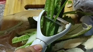 ASMR  COTTON GOURD  peeling satisfying [upl. by Nah708]