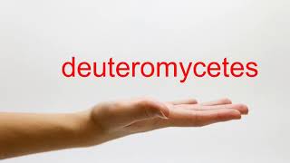 How to Pronounce deuteromycetes  American English [upl. by Maddox]