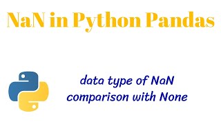 NaN Not a Number in Python Pandas [upl. by Aihseuqal47]