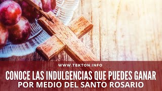 Conoce las INDULGENCIAS que puedes ganar por medio del SANTO ROSARIO [upl. by Ettenirt]