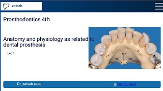 prosthodontics Lec 1 Anatomy and physiology as related to dental prosthesis المرحلة الرابعة [upl. by Myrtle]