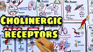 Cholinergic receptors  Muscarinic and Nicotinic receptors  Pharmacology [upl. by Aehsan]