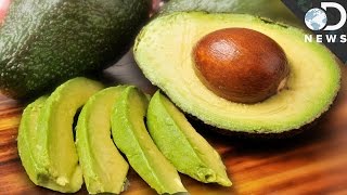 Everything You Need To Know About Avocados [upl. by Adnuhser960]