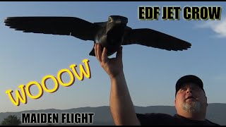 EDF JET CROW Wingbeat 50mm 10 blade 4S 930mm Rocrow RTF Set  GPS Maiden flight [upl. by Ahseital387]