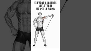 elevação lateral unilateral na polia baixa [upl. by Nessej]