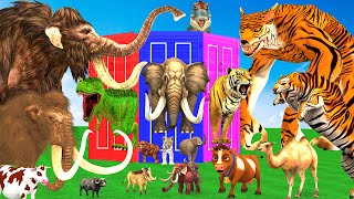 10 Mammoth Elephant Cow vs 10 Giant Tiger Wolf Dinosaur Fight Elephant Baby Saved by Woolly Mammoth [upl. by Chadbourne]