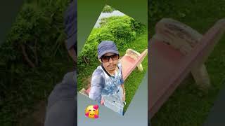 Sawan mein lag gayi Aag dil mera 🥰 hye hye  Mika sing new song [upl. by Collen]