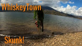 whiskeytown Lake Skunk Fest  Redding California Fishing [upl. by Justino90]