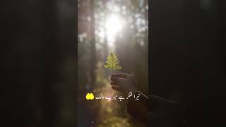 Tera Shukar hai mere Malik Islamic WhatsApp Status Urdu Thoughts Status [upl. by Larena]