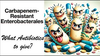 CarbapenemResistant Enterobacterales IDSA Guidelines [upl. by Nevear456]