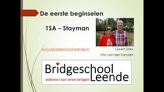 Bridge 1SA Stayman [upl. by Lyrahc]