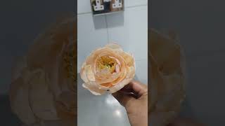 Peony flower wafer paper [upl. by Weinrich]